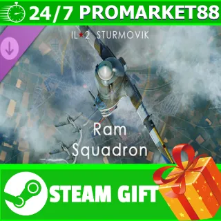 Купить ️IL-2 Sturmovik: Ram Squadron Campaign STEAM GIFT