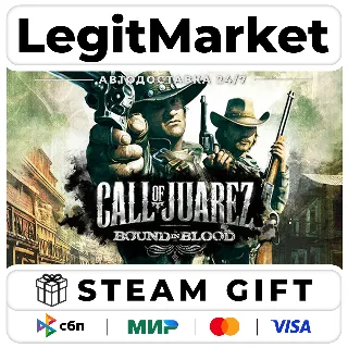 Купить Call of Juarez: Bound in Blood / Steam АВТО / РУ + МИР