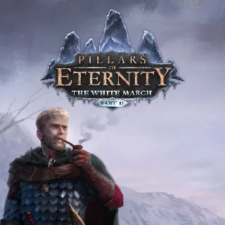 Купить Pillars of Eternity: The White March Part II | PC | На любой аккаунт