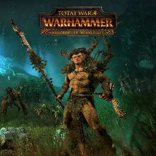 Купить Total War: WARHAMMER - Realm of The Wood Elves | PC | На любой аккаунт