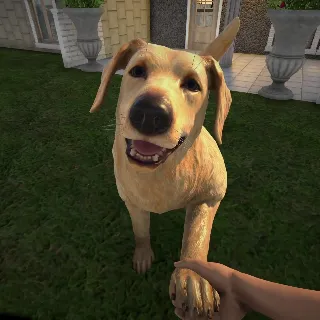 Купить Pets Hotel | XBOX | На любой аккаунт