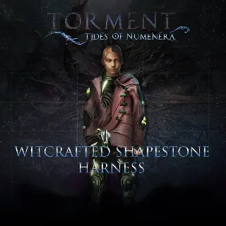 Купить Witcrafted Shapestone Harness | XBOX | На любой аккаунт