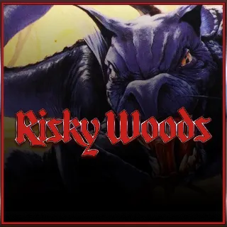 Купить Risky Woods (QUByte Classics) | XBOX | На любой аккаунт