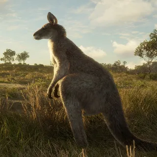 Купить theHunter: Call of the Wild™ - Emerald Coast Australia | XBOX | На любой аккаунт