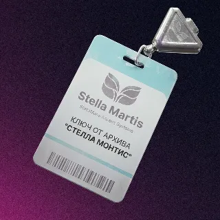 Купить КЛЮЧ ОТ АРХИВА "СТЕЛЛА МОНТИС" ARC Raiders