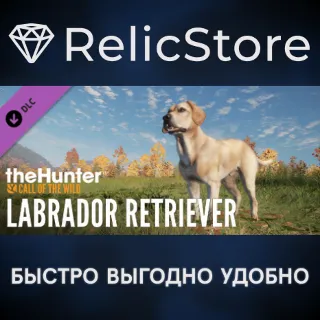 Купить theHunter: Call of the Wild™ - Labrador Retriever DLC