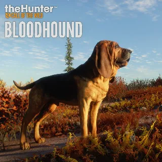 Купить theHunter: Call of the Wild™ - Bloodhound - Windows 10 | PC | На любой аккаунт