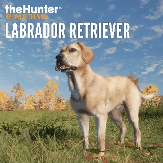 Купить theHunter: Call of the Wild™ - Labrador Retriever | XBOX | На любой аккаунт