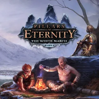 Купить Pillars of Eternity: The White March Part I | PC | На любой аккаунт