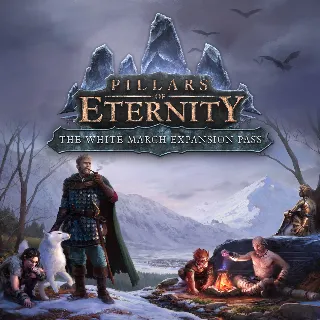 Купить Pillars of Eternity: The White March Expansion Pass | PC | На любой аккаунт