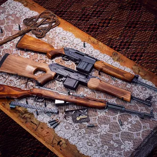 Купить theHunter: Call of the Wild™ - Rapid Hunt Rifle Pack | XBOX | На любой аккаунт