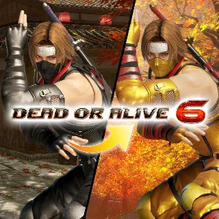 Купить DOA6 Morphing Ninja Costume - Hayate | XBOX | На любой аккаунт