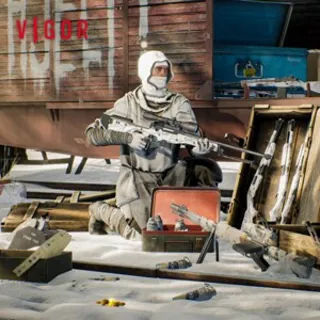 Купить Vigor - Wraith of The North | XBOX | На любой аккаунт
