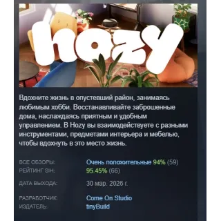 Купить Hozy АВТОДОСТАВКА STEAM РОССИЯ
