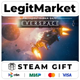 Купить EVERSPACE / Steam АВТО / РУ + МИР