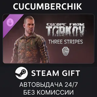 Купить Escape from Tarkov: BEAR - Three Stripes ✅ STEAM GIFT AUTO ✅ RU+МИР