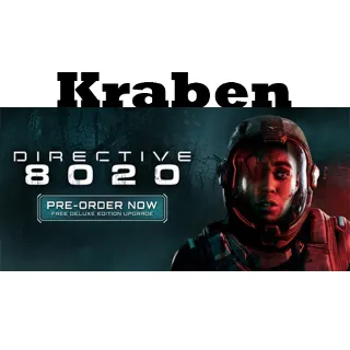 Купить Directive 8020 steam Россия\МИР