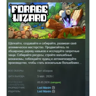 Купить Forage Wizard АВТОДОСТАВКА STEAM РОССИЯ
