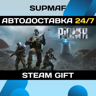 Купить PIONER | STEAM GIFT | KZ・UA・CIS