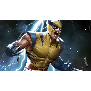 Купить FN (All platforms) 💎 [Wolverine] Полный доступ + 2 🎁