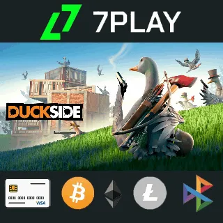 Купить Duckside - Оффлайн Steam [24/7]