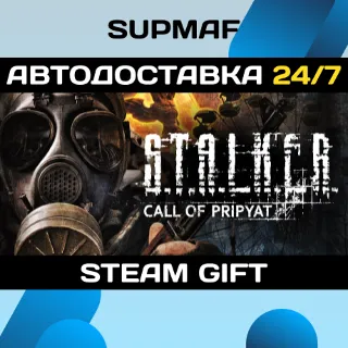 Купить S.T.A.L.K.E.R.: Call of Pripyat (Stand-alone) | STEAM GIFT | RU・KZ・UA・BY・CIS
