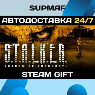 Купить STALKER: Shadow of Chernobyl | STEAM GIFT | RU・KZ・UA・BY・CIS