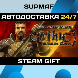 Купить Gothic 3: Forsaken Gods Enhanced Edition | STEAM GIFT | RU・KZ・UA・BY・CIS