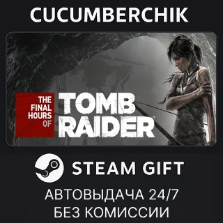 Купить Tomb Raider - The Final Hours Digital Book ✅ STEAM GIFT AUTO ✅ RU+МИР