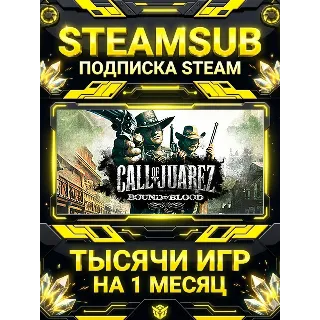 Купить Call of Juarez: Bound in Blood + тысячи оффлайн игр — STEAMSUB подписка Steam на 1 ме