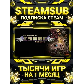 Купить The Binding of Isaac: Rebirth + тысячи оффлайн игр — STEAMSUB подписка Steam на 1 мес