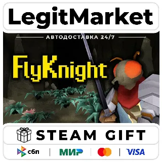 Купить FlyKnight / Steam АВТО / РУ + МИР