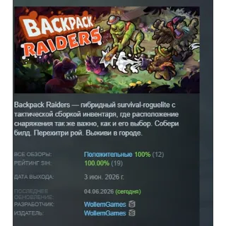 Купить Backpack Raiders АВТОДОСТАВКА STEAM РОССИЯ
