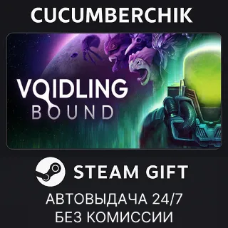 Купить Voidling Bound ✅ STEAM GIFT AUTO ✅ RU+МИР