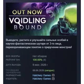 Купить Voidling Bound АВТОДОСТАВКА STEAM РОССИЯ