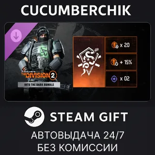 Купить Tom Clancy’s The Division 2 – Into the Dark Bundle ✅ STEAM GIFT AUTO ✅ RU+МИР