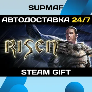 Купить Risen | STEAM GIFT | RU・KZ・UA・CIS