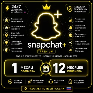 Купить Snapchat Plus Подписка в подарок на 3/6/12 месяцев