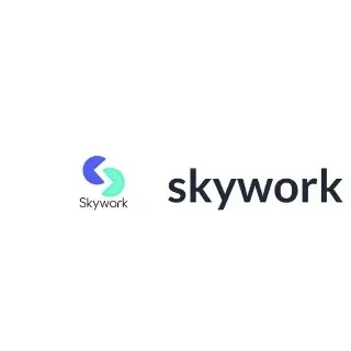 Купить Международная версия участника Skywork/безопасность и удобство
