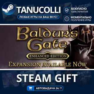 Купить Baldur's Gate: Enhanced Edition Авто МИР + 33 региона GIFT Россия