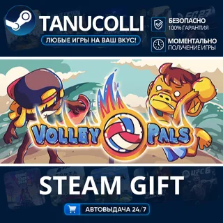 Купить Volley Pals Авто МИР + 33 региона GIFT Россия