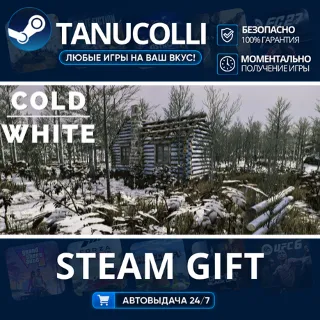 Купить The Cold White Авто МИР + 33 региона GIFT Россия