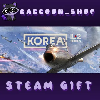 Купить Korea. IL2 Series * STEAM RU*KZ*UA*СНГ 🔥