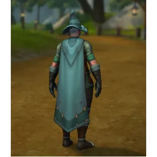 Купить Sorcerer's Grassy Garb Skin Twitch Drop Август 2026