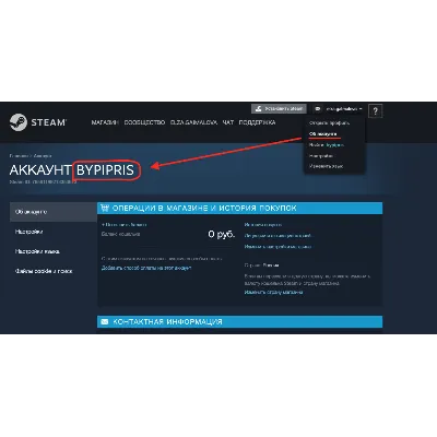 СТИМ БАЛАНС КАЗАХСТАН +ПОДАРОК STEAM ТЕНГЕ KZ ПОПОЛНЕНИЕ KZT WALLET 24/7 - irongamers.ru