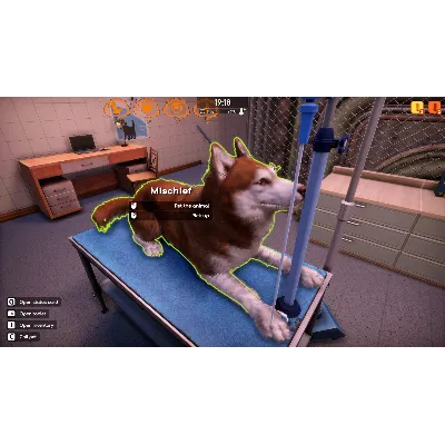 ВСЕ СТРАНЫ+РОССИЯ Animal Shelter 2 - Vet Clinic DLC - irongamers.ru