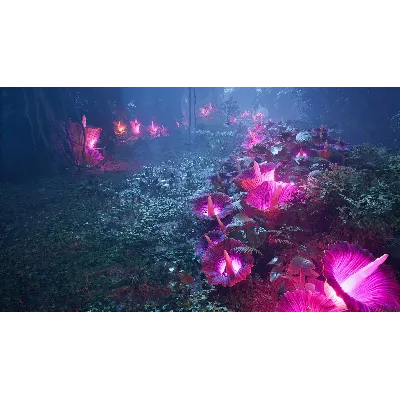 DRAGONKIN: THE BANISHED XBOX SERIES X|S КЛЮЧ - irongamers.ru
