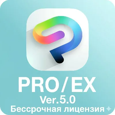 Ключ пожизненной активации Clip Studio Paint PRO v5 / 1 год / Gold - irongamers.ru