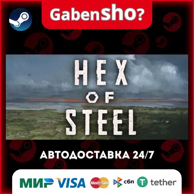 Hex of Steel СТИМ Steam Gift - irongamers.ru