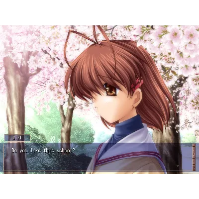 CLANNAD СТИМ Steam Gift - irongamers.ru